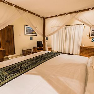 Superior Double or Twin Room Pool View